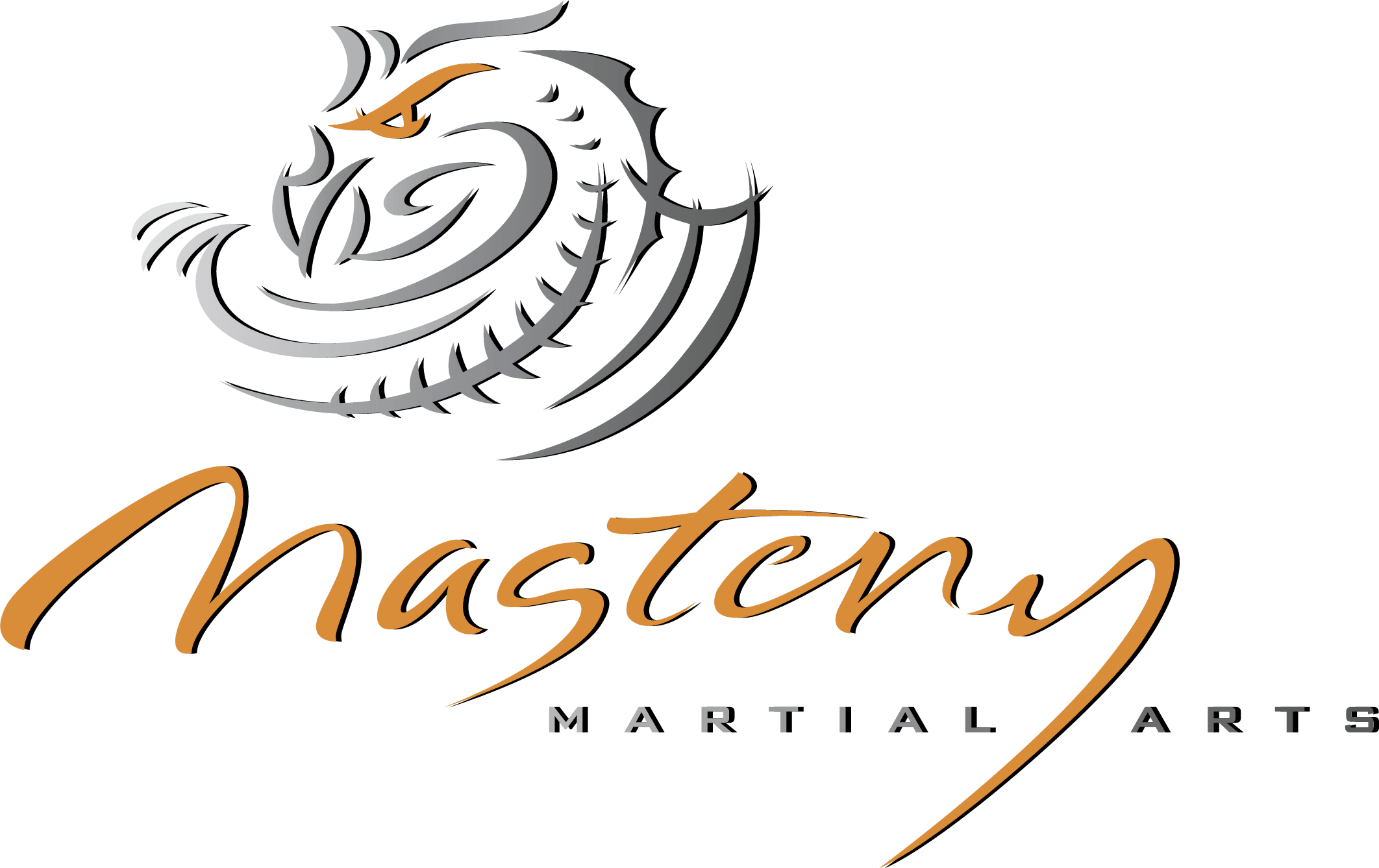 Mastery Martial Arts Michigan